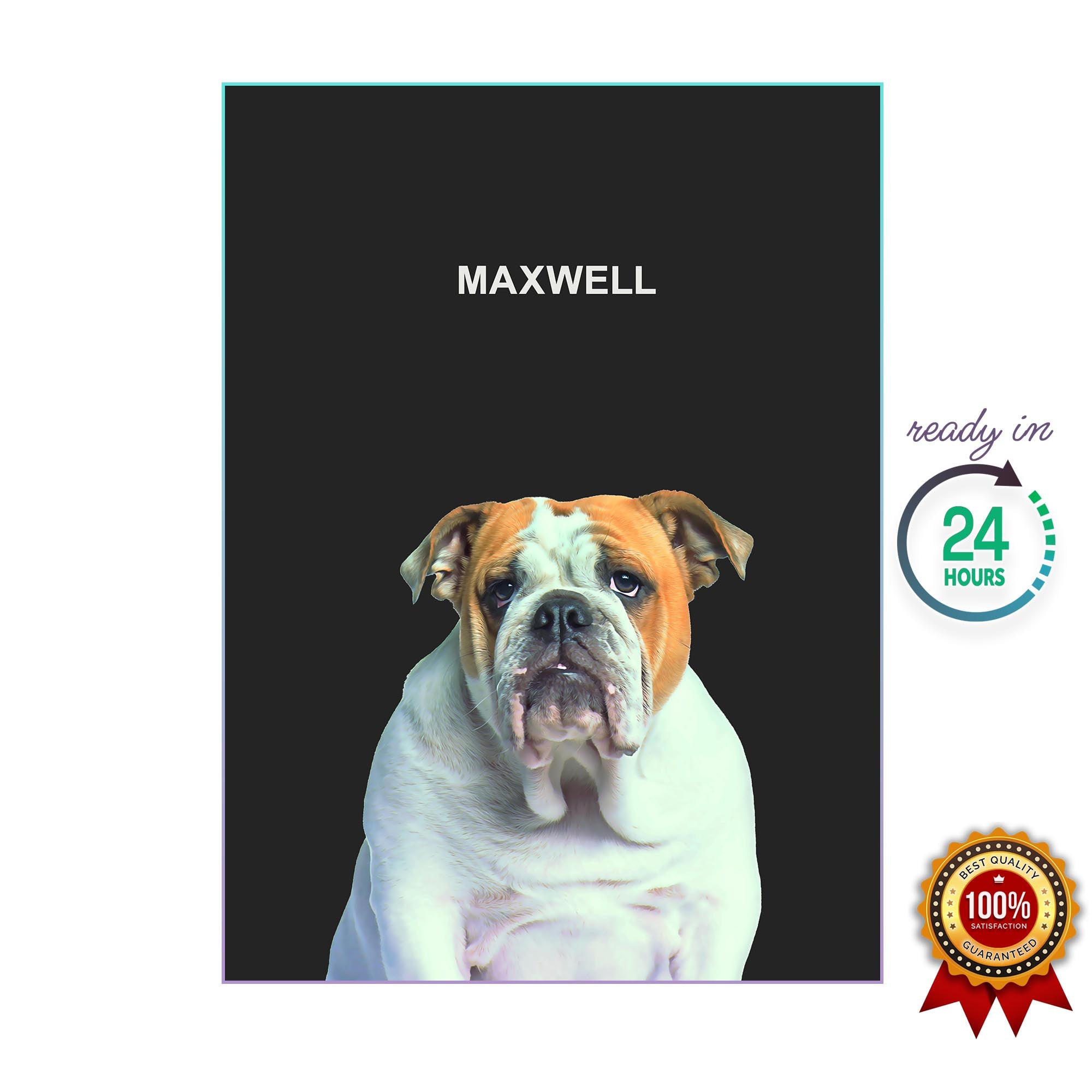 One Pet Portrait - Maxwell