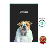 One Pet Portrait - Maxwell