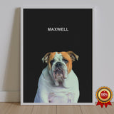 One Pet Portrait - Maxwell