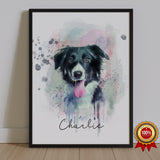 Watercolor Pet Portrait - Border Collie