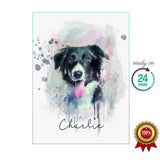 Watercolor Pet Portrait - Border Collie