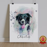 Watercolor Pet Portrait - Border Collie