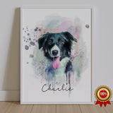 Watercolor Pet Portrait - Border Collie